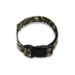 Brown Damask Pattern Print Dog Collar