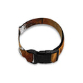 Brown Horse Painting Print Dog Collar