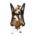 Brown Horse Painting Print Pet Carrier Backpack