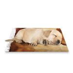 Brown Horse Painting Print Pet Cooling Mat Cover