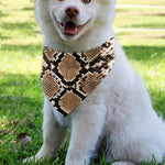 Brown Python Snakeskin Print Over The Collar Dog Bandana