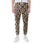 Brown Python Snakeskin Print Scuba Joggers