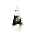 Bull Portrait Print Hand Towel