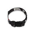 Bullseye Darts Print Dog Collar
