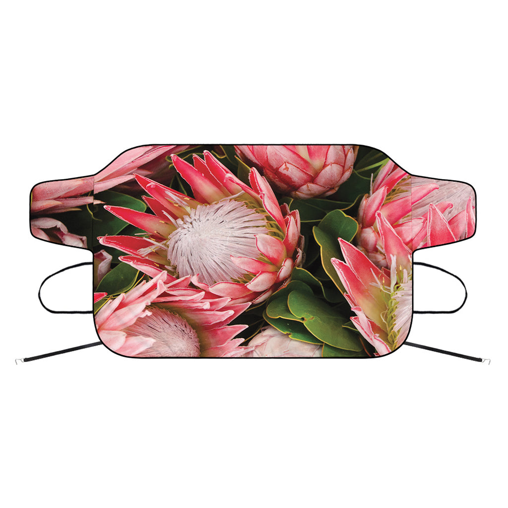 Bunches of Proteas Print Car Windshield Snow Cover