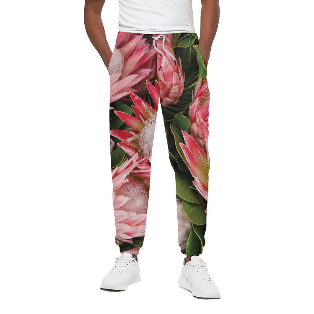 Bunches of Proteas Print Cotton Pants