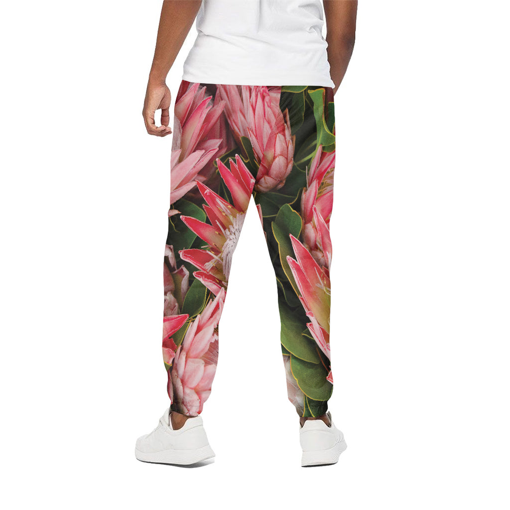 Bunches of Proteas Print Cotton Pants