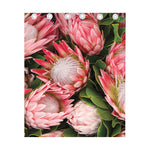 Bunches of Proteas Print Curtain