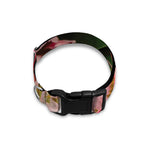 Bunches of Proteas Print Dog Collar