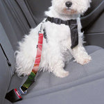 Bunches of Proteas Print Dog Seat Belt