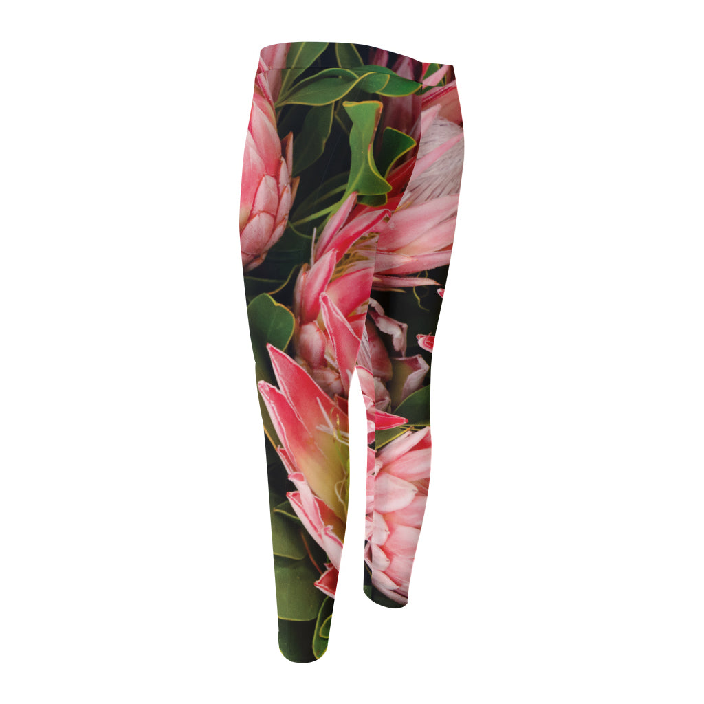 Bunches of Proteas Print Men's Compression Pants