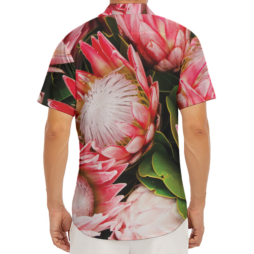 Bunches of Proteas Print Men's Deep V-Neck Shirt