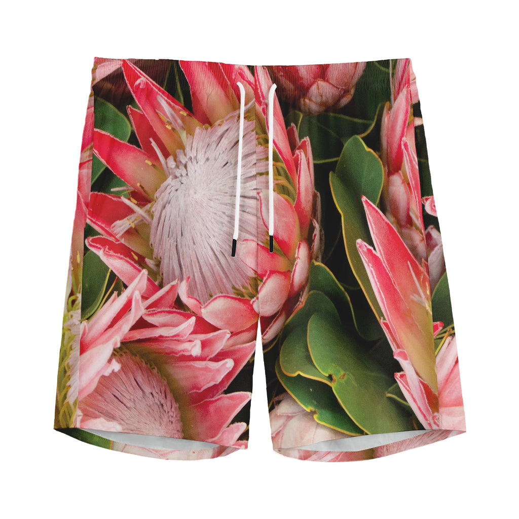 Bunches of Proteas Print Men's Sports Shorts