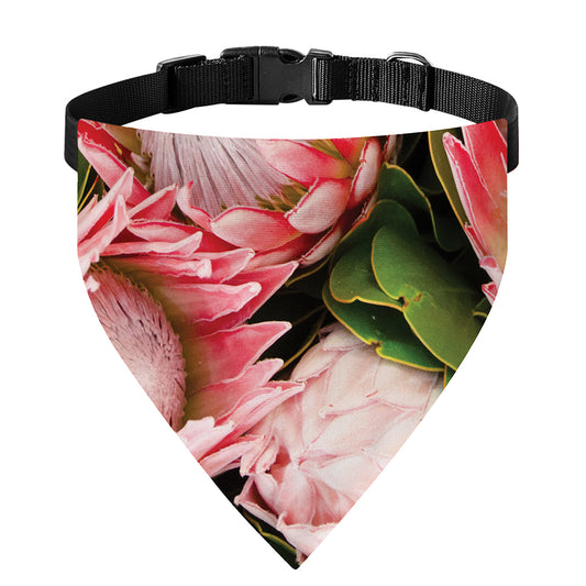 Bunches of Proteas Print Over The Collar Dog Bandana