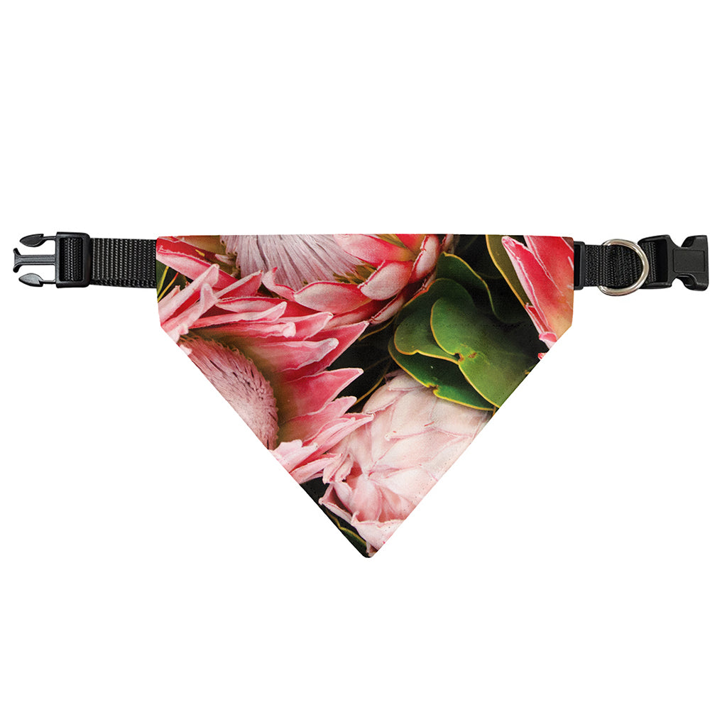 Bunches of Proteas Print Over The Collar Dog Bandana