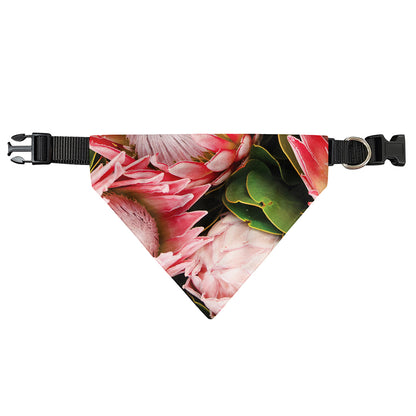 Bunches of Proteas Print Over The Collar Dog Bandana