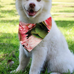 Bunches of Proteas Print Over The Collar Dog Bandana