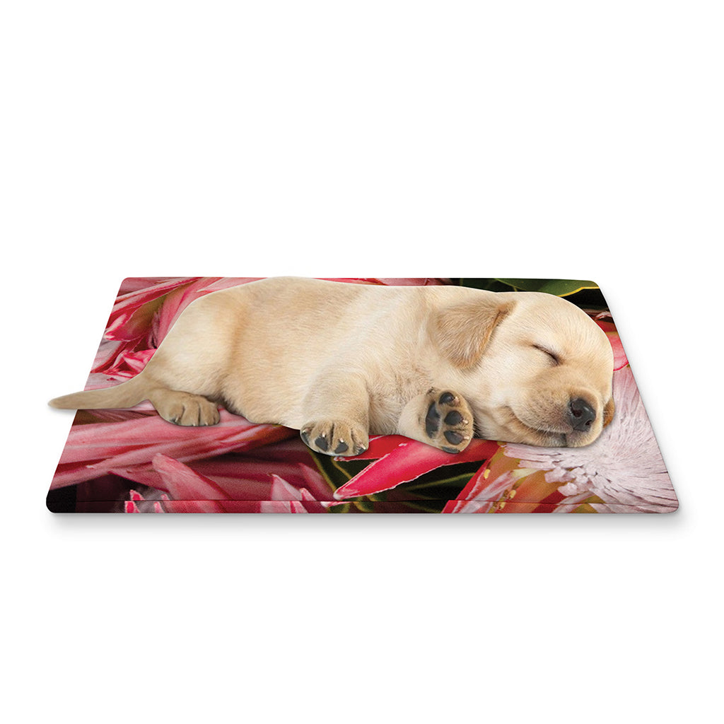 Bunches of Proteas Print Pet Cooling Mat Cover