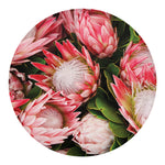 Bunches of Proteas Print Round Blanket