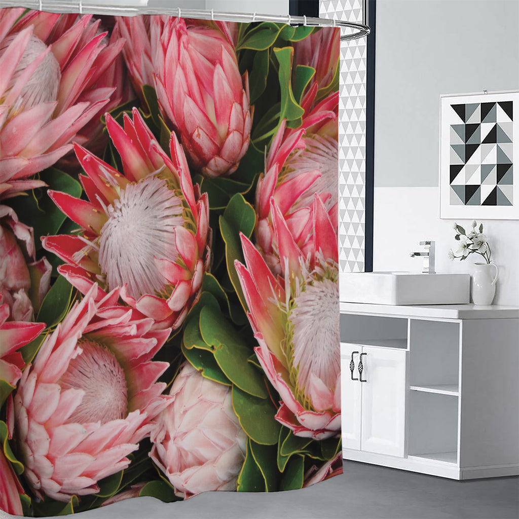 Bunches of Proteas Print Shower Curtain