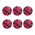 Burgundy Alstroemeria Print Coaster Set