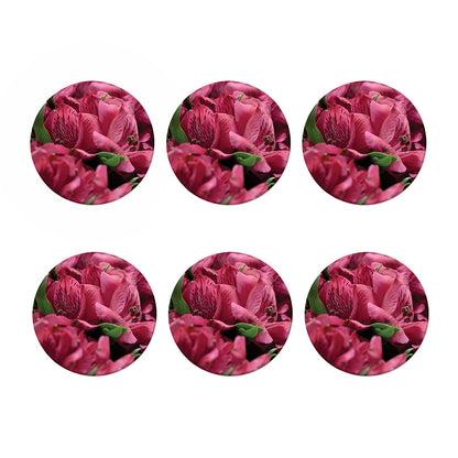 Burgundy Alstroemeria Print Coaster Set