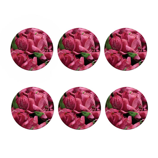 Burgundy Alstroemeria Print Coaster Set