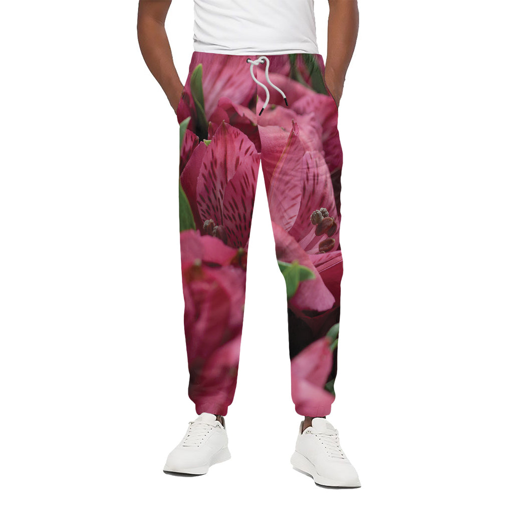 Burgundy Alstroemeria Print Cotton Pants