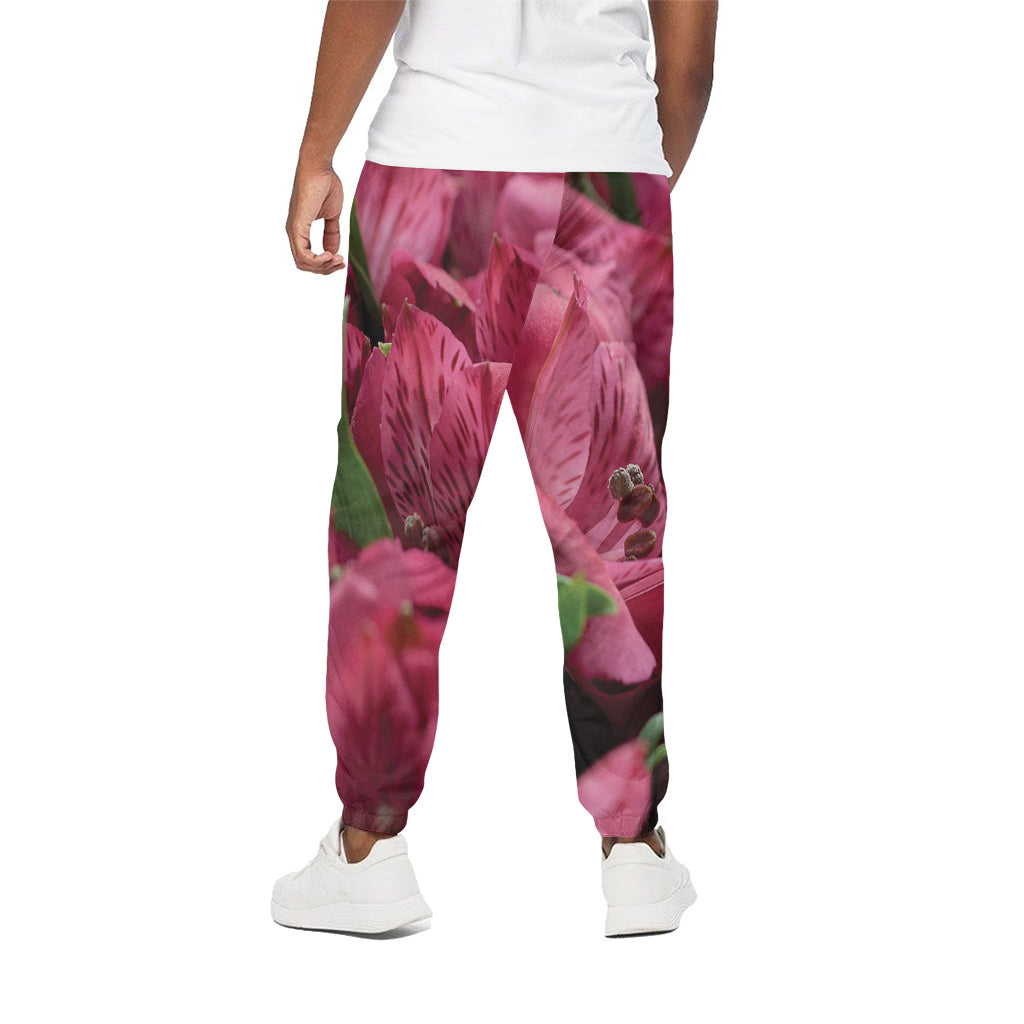 Burgundy Alstroemeria Print Cotton Pants