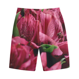 Burgundy Alstroemeria Print Cotton Shorts