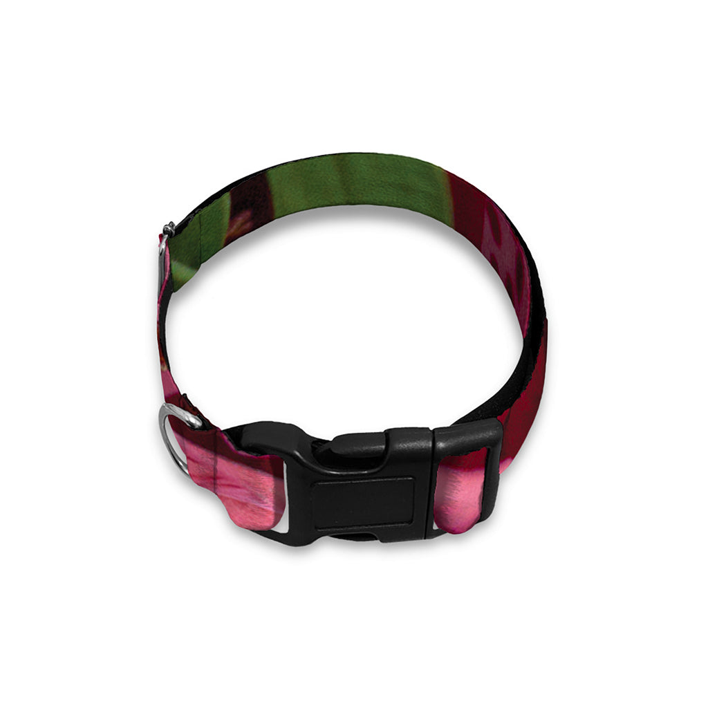 Burgundy Alstroemeria Print Dog Collar