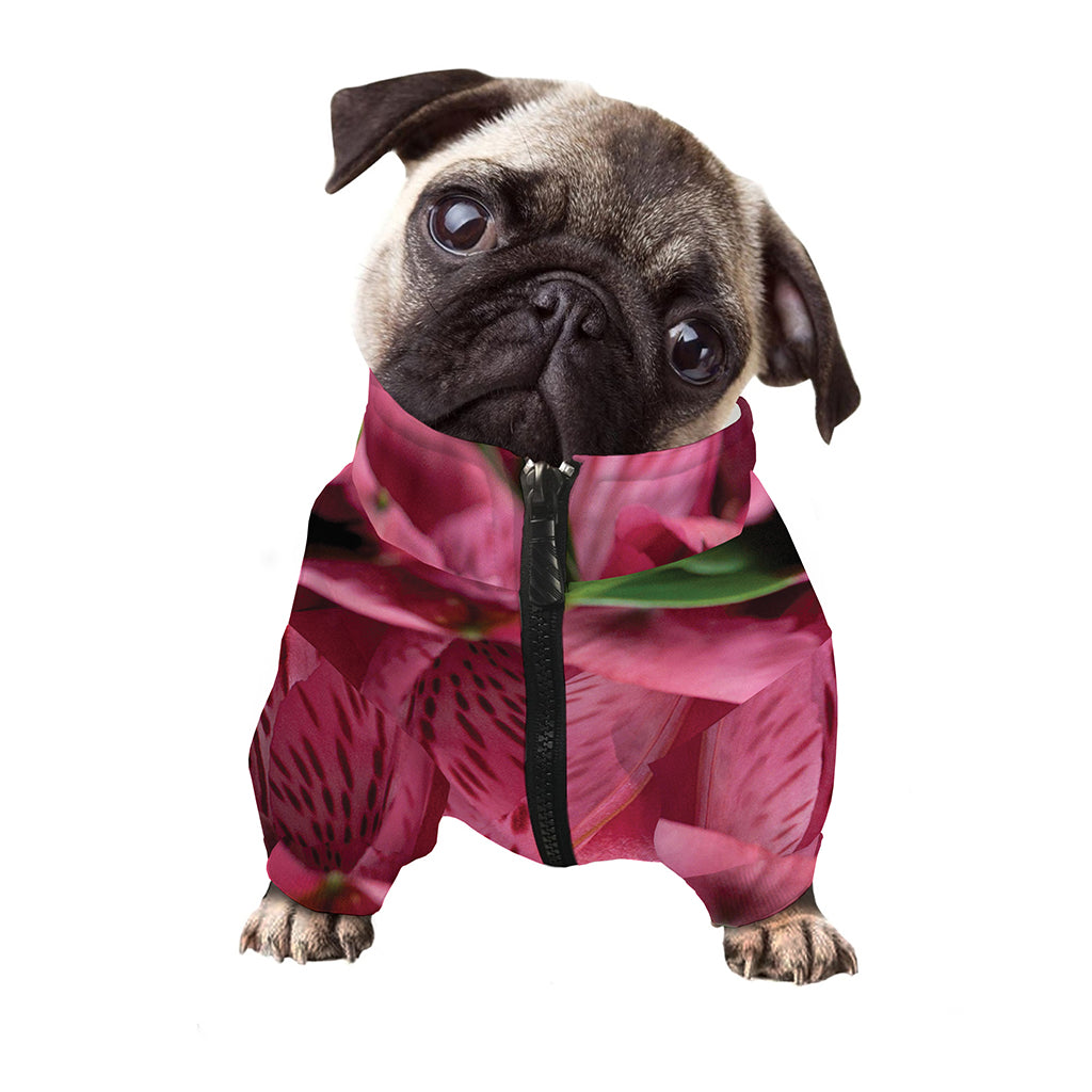 Burgundy Alstroemeria Print Dog Zip Up Jacket