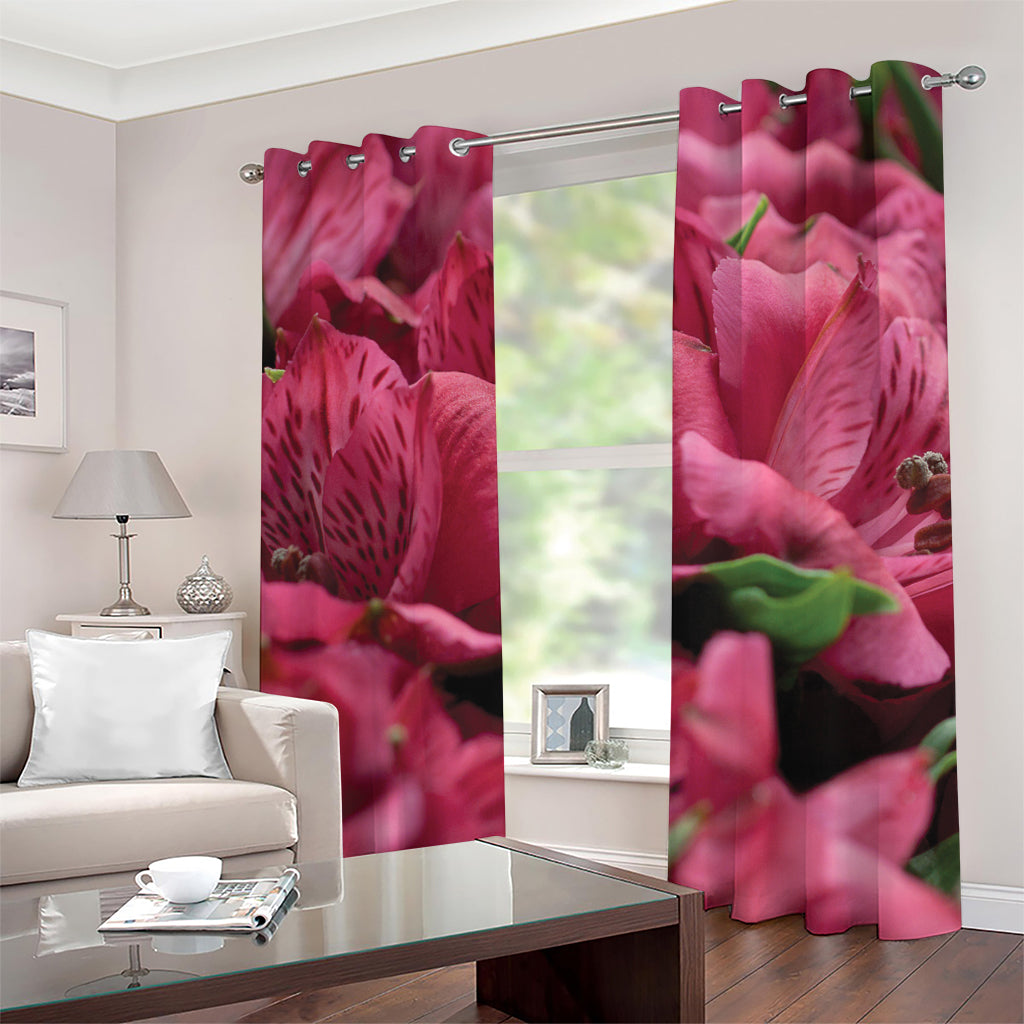 Burgundy Alstroemeria Print Grommet Curtains