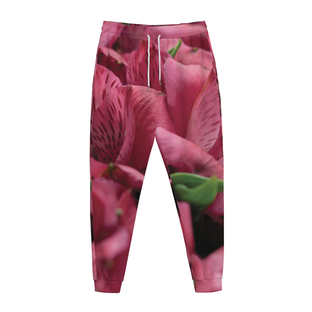 Burgundy Alstroemeria Print Jogger Pants