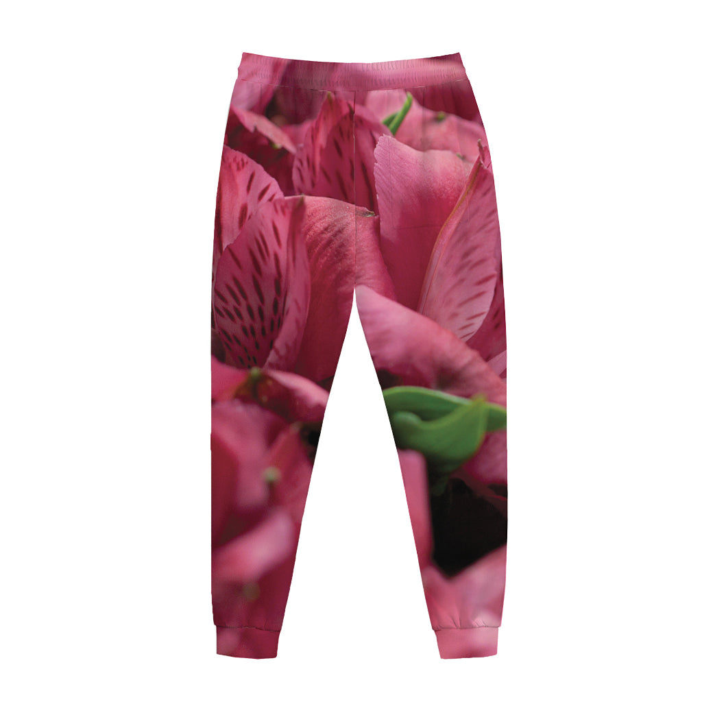 Burgundy Alstroemeria Print Jogger Pants