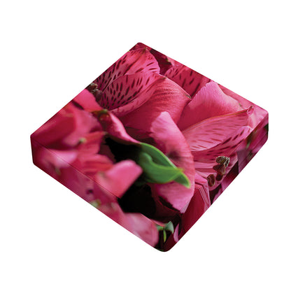 Burgundy Alstroemeria Print Outdoor Seat Cushion Cover
