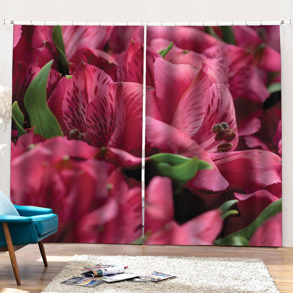 Burgundy Alstroemeria Print Pencil Pleat Curtains