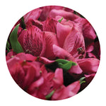 Burgundy Alstroemeria Print Round Blanket