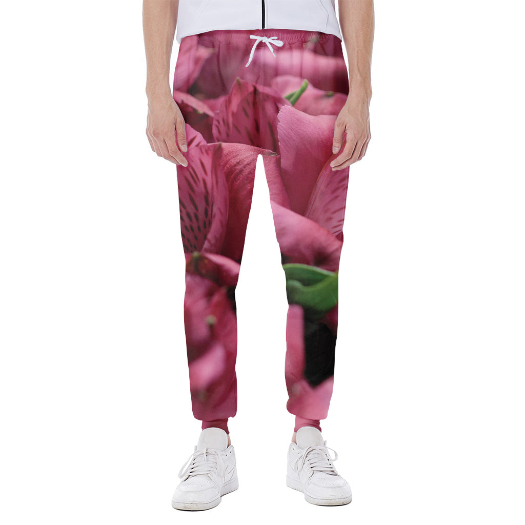 Burgundy Alstroemeria Print Scuba Joggers