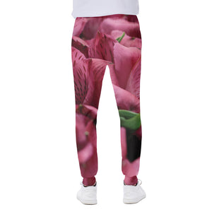 Burgundy Alstroemeria Print Scuba Joggers