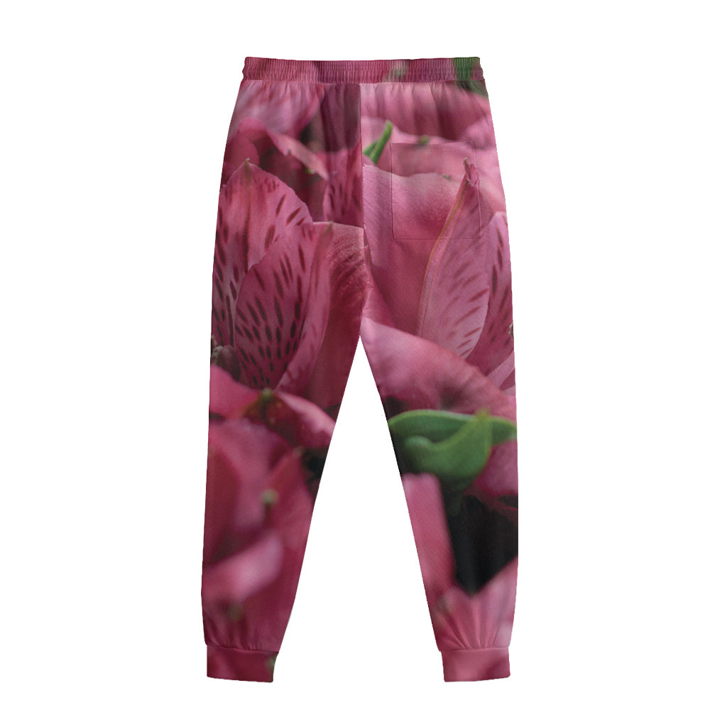 Burgundy Alstroemeria Print Sweatpants