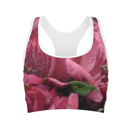 Burgundy Alstroemeria Print Women's Sports Bra