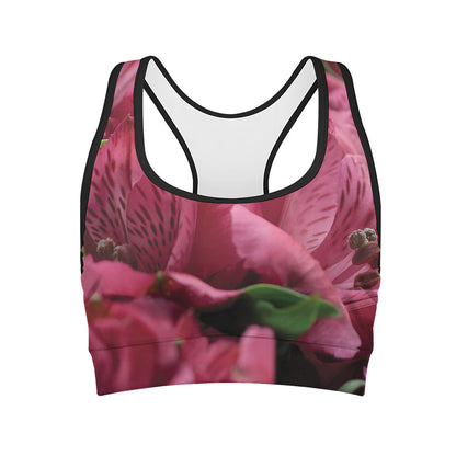 Burgundy Alstroemeria Print Women's Sports Bra