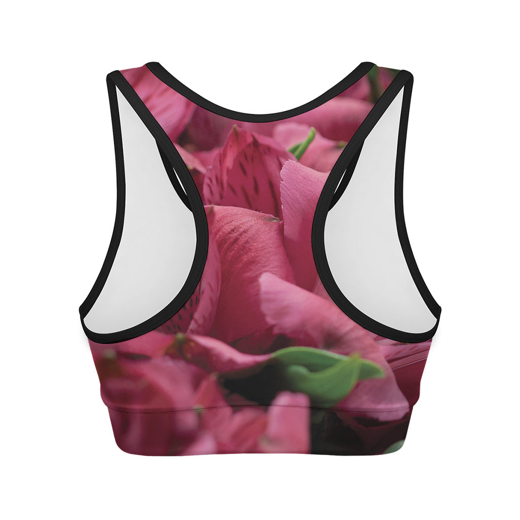 Burgundy Alstroemeria Print Women's Sports Bra