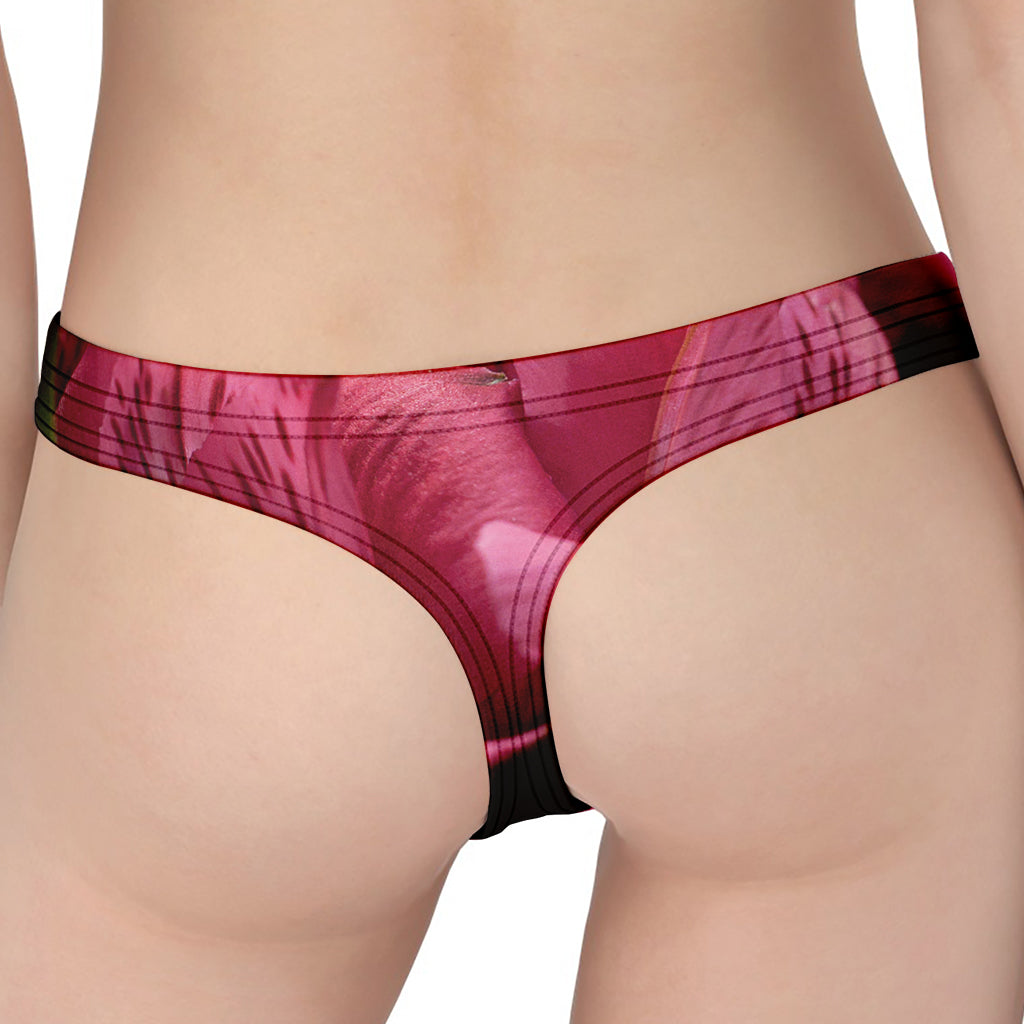 Burgundy Alstroemeria Print Women's Thong