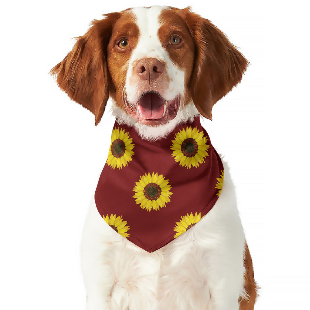 Burgundy Sunflower Pattern Print Dog Bandana