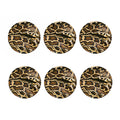 Burmese Python Snake Print Coaster Set