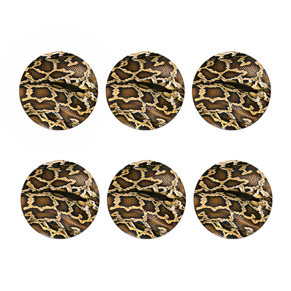 Burmese Python Snake Print Coaster Set