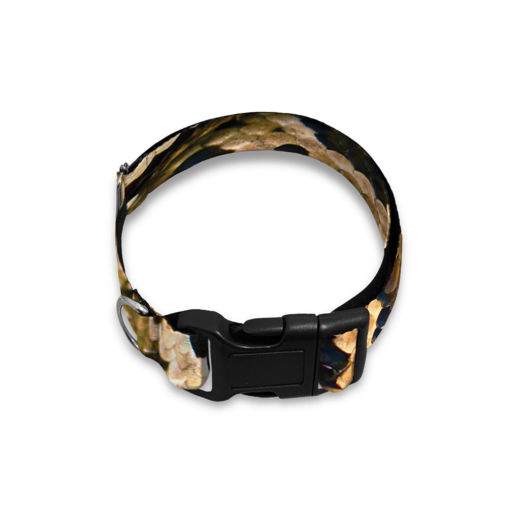 Burmese Python Snake Print Dog Collar