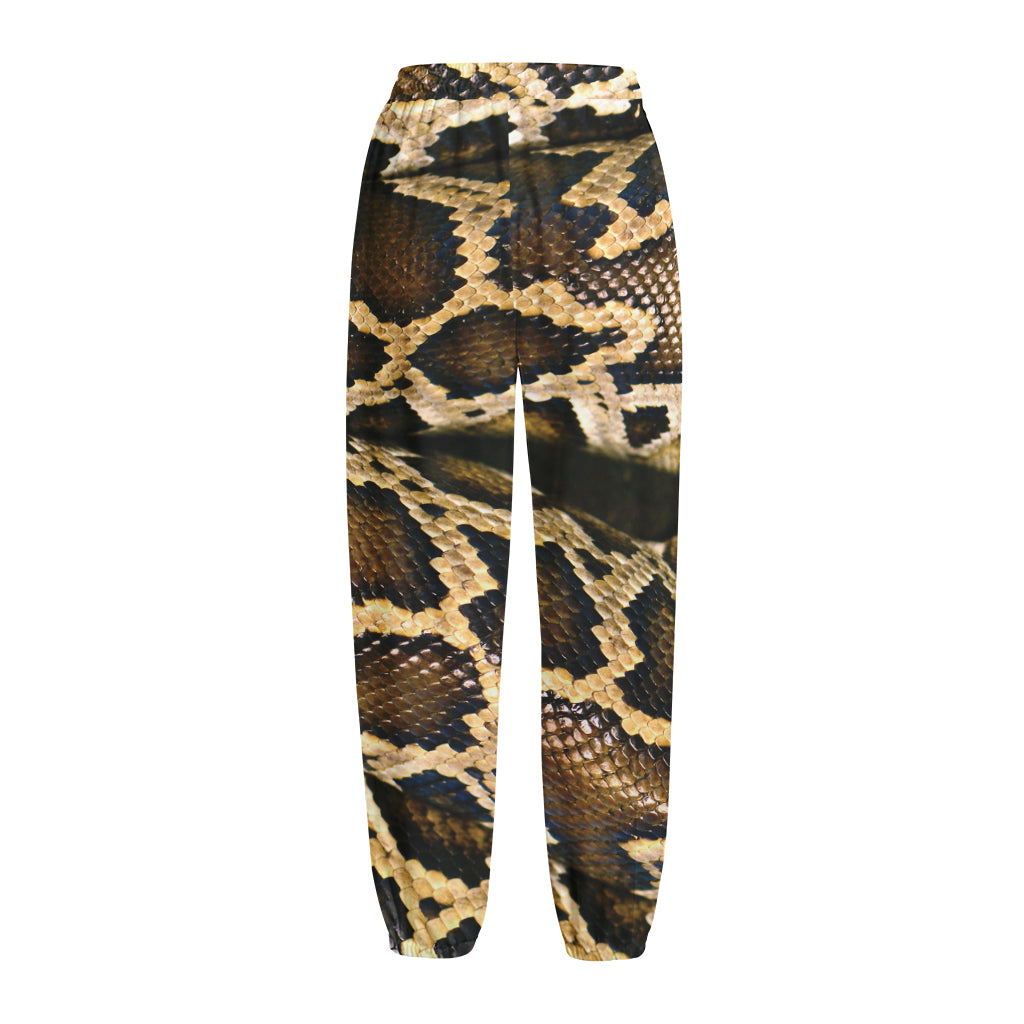 Burmese Python Snake Print Fleece Lined Knit Pants